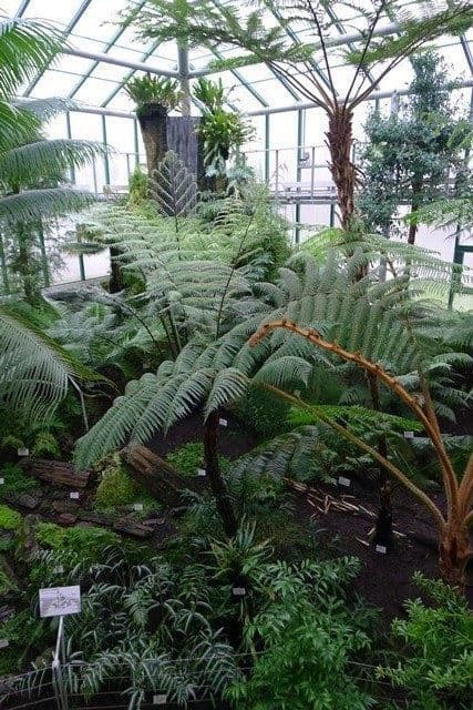 1. obrázek Botanická zahrada Liberec