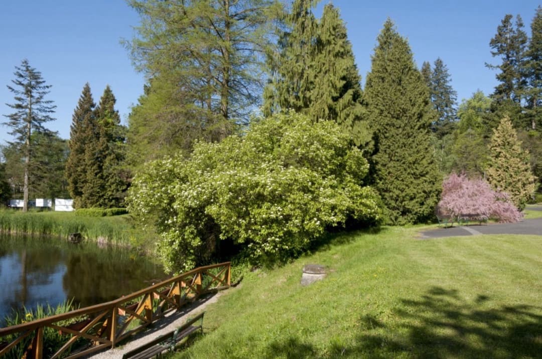 1. obrázek Arboretum Nový Dvůr u Opavy
