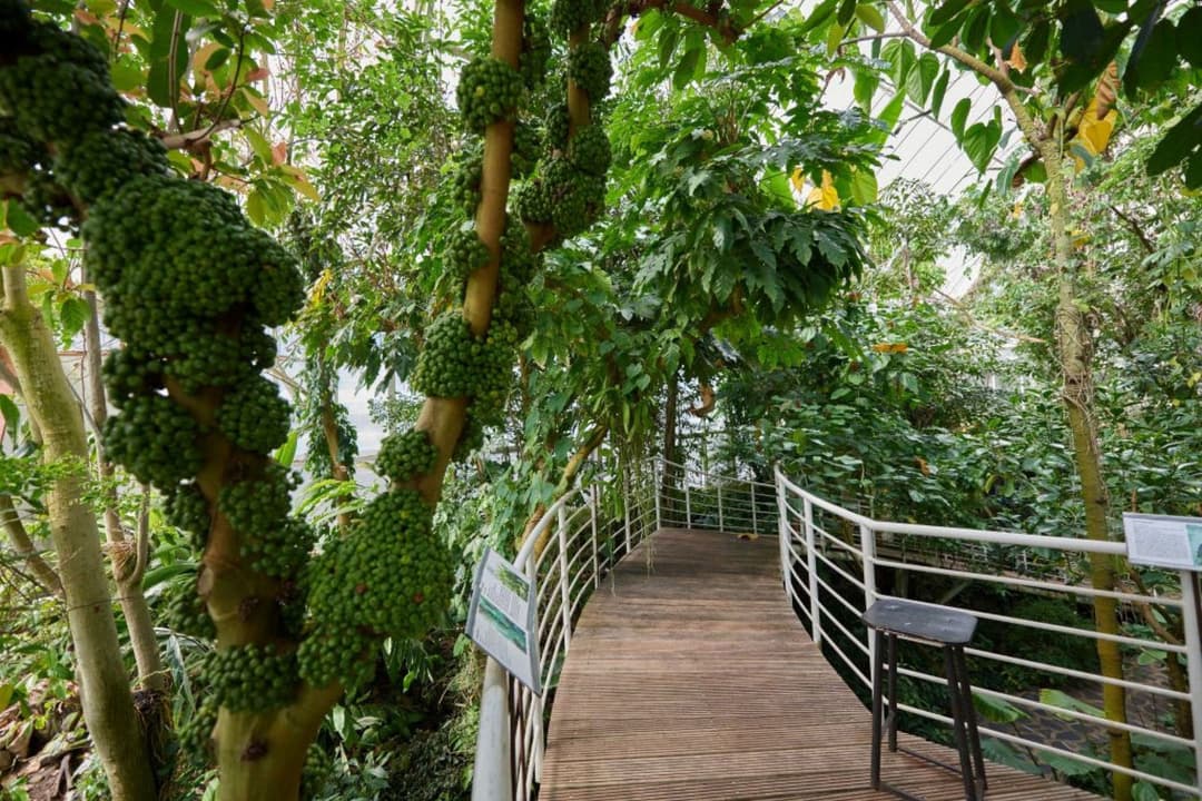 1. obrázek Botanická zahrada Teplice a skleník Tropicana