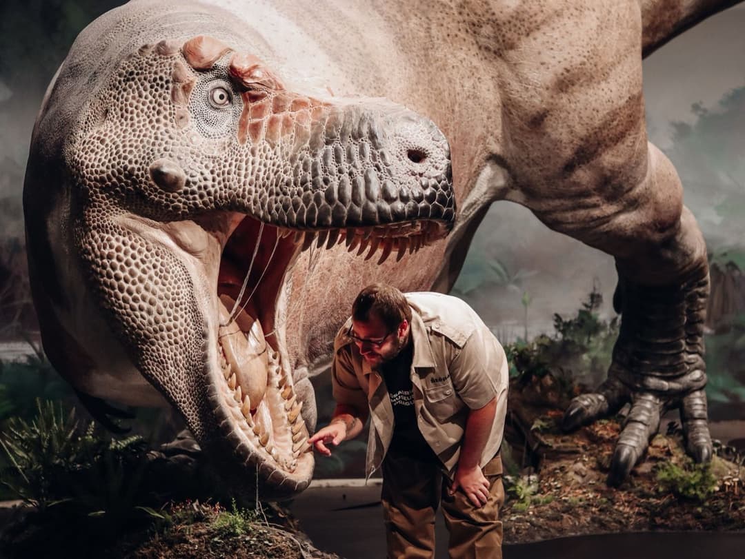 1. obrázek Dinosauria Museum Prague
