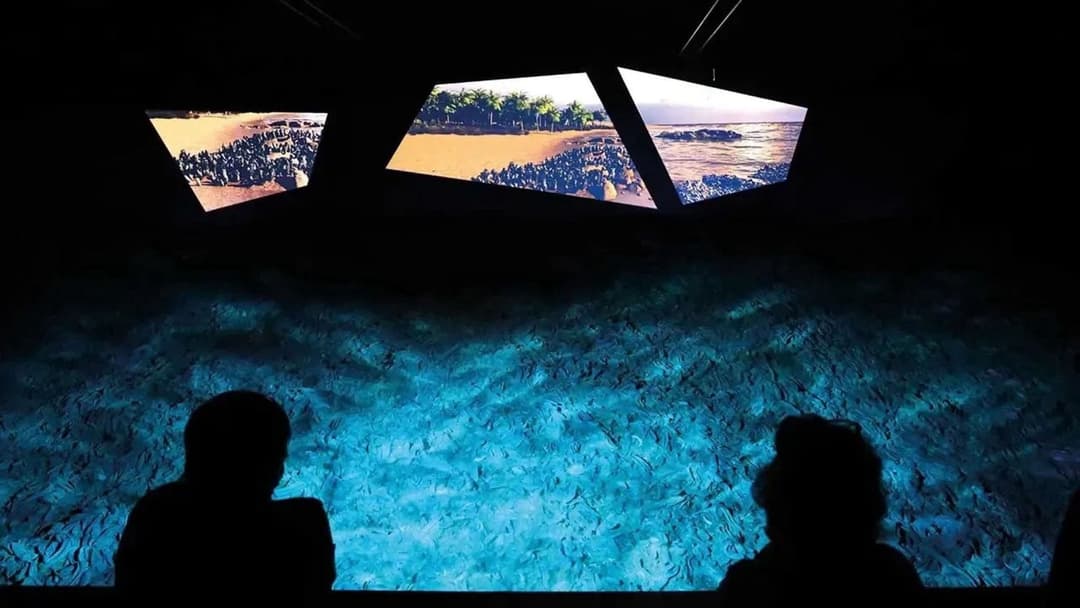 1. obrázek Svět zkamenělin Stetten – Fossilienwelt Weinviertel, Rakousko 1. obrázek Svět zkamenělin Stetten – Fossilienwelt Weinviertel, Rakousko