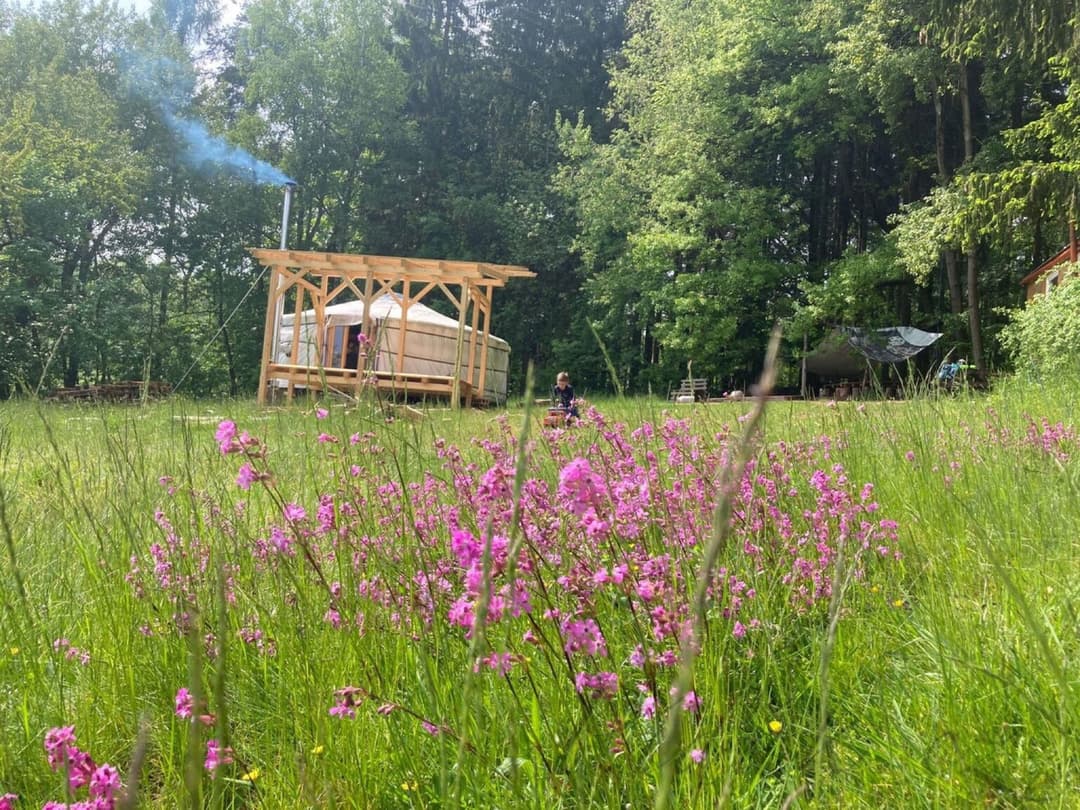 1. obrázek Lesní klub a škola HraLES