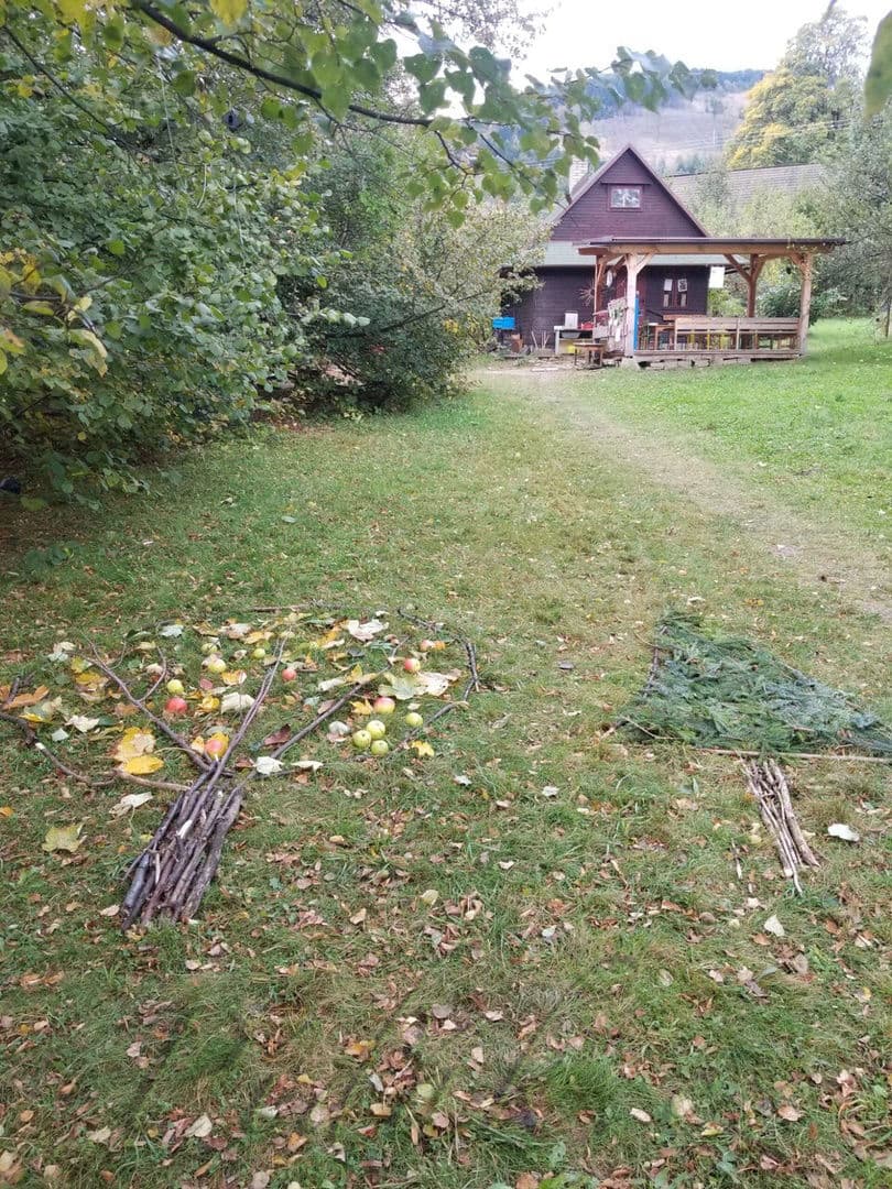 1. obrázek Dětský lesní klub Na Včelíně