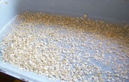 3. obrázek Zapekané špagety s orechmi a pudingovou zálievkou