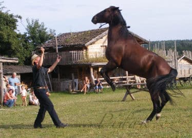 4. obrázek Fort Hary - Pevnost Lovců Kožešin A Indiánské Muzeum - Jarotice