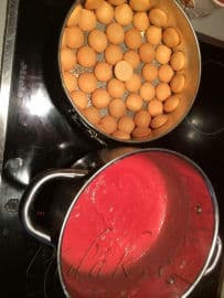 7. obrázek Mokrej pes od babičky