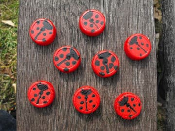 8. obrázek Lesní klub Kopretina- Příbram