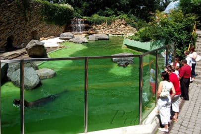 5. obrázek ZOO Zlín - Zámek Lešná- Zoo bez mříží