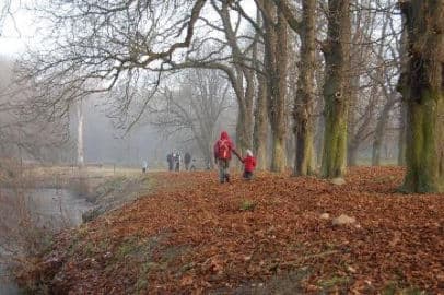 3. obrázek Devětsil lesní mateřská školka - Kamenice