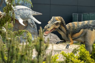 6. obrázek DinoPark Harfa Praha