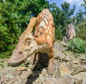 2. obrázek DinoPark ZOO Plzeň