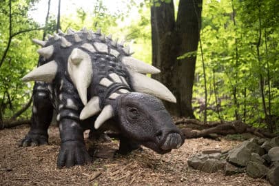 6. obrázek DinoPark ZOO Vyškov 