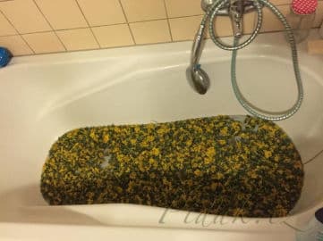 2. obrázek Pampeliškový sirup by Romča 