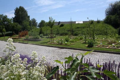 3. obrázek Arboretum Bílá Lhota