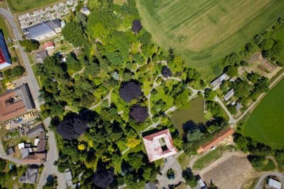 Arboretum Bílá Lhota