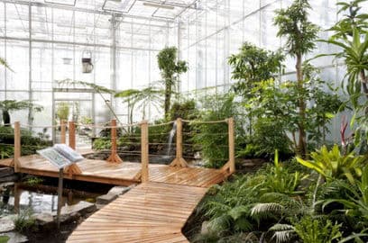 2. obrázek Arboretum Nový Dvůr u Opavy