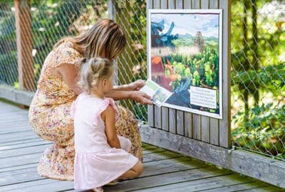 4. obrázek Stezka korunami stromů Bavorský les – Neuschönau, Německo