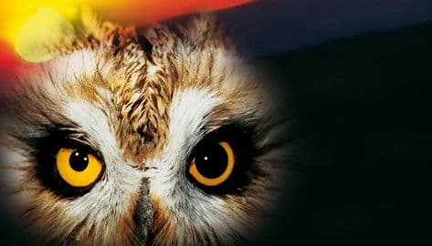 4. obrázek Zvířecí park Bavorský les – Bayerwald-Tierpark Lohberg, Německo