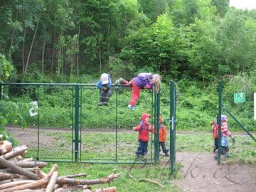 3. obrázek Sýkorka- Brno-město