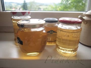 3. obrázek Mátový sirup - nevařený 