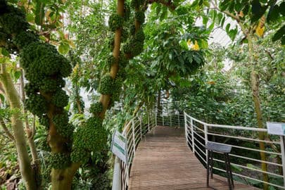 Botanická zahrada Teplice a skleník Tropicana
