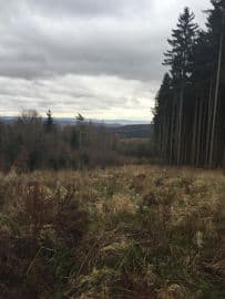 5. obrázek Výlet na rozhlednu Máminka