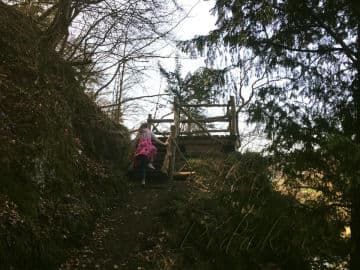 6. obrázek Výlet naučnou stezkou po stopách trilobita na Hrad Týřov 