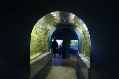 3. obrázek Botanická zahrada Liberec