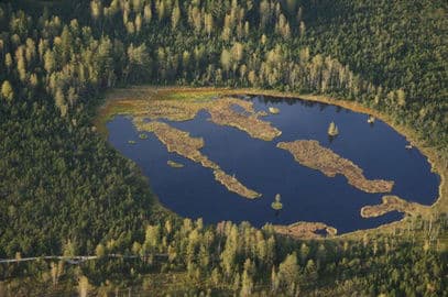 2. obrázek Chalupská slať – povalový chodník k největšímu rašelinnému jezírku