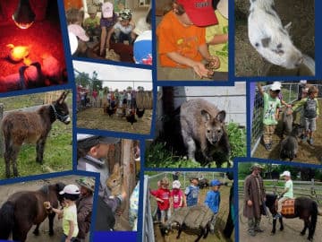 2. obrázek Fištrón park – Zvířátkov - Olešná