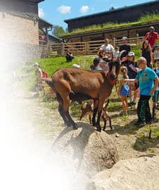 3. obrázek Dům přírody Jizerských hor – Oldřichov v Hájích