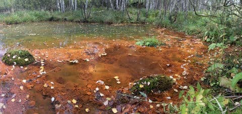 3. obrázek Dům přírody Slavkovského lesa – Kladská