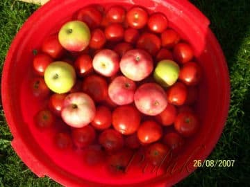 3. obrázek Domácí kečup skvělý pro malé kečupožrouty