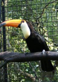 4. obrázek Zoo Hodonín