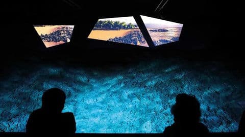 Svět zkamenělin Stetten – Fossilienwelt Weinviertel, Rakousko