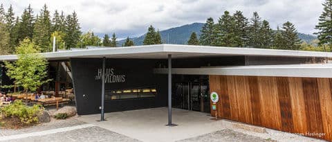 Dům divočiny Ludwigsthal – Haus zur Wildnis, centrum NP Bavorský les Falkenstein, Německo