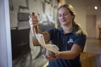 5. obrázek Muzeum Olomouckých tvarůžků Loštice