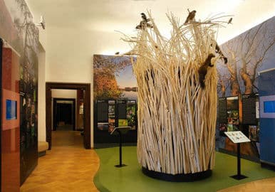 3. obrázek Muzeum Vysočiny Třebíč – zámek