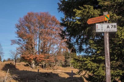 2. obrázek Naučná stezka Bezlesí – Kvilda
