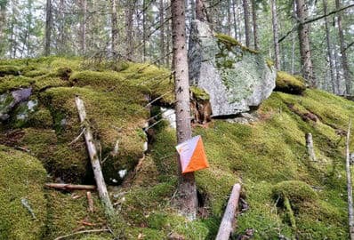 Orientační běh Šternberská hvězda 31.10.2026 - Šternberk