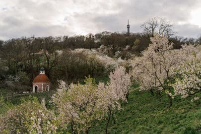 Petřínská rozhledna