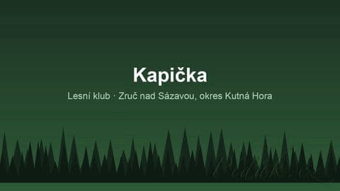 Kapička