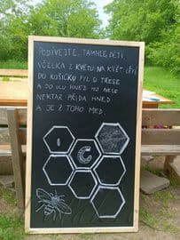 3. obrázek Dětský lesní klub Na Včelíně