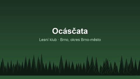 Ocásčata