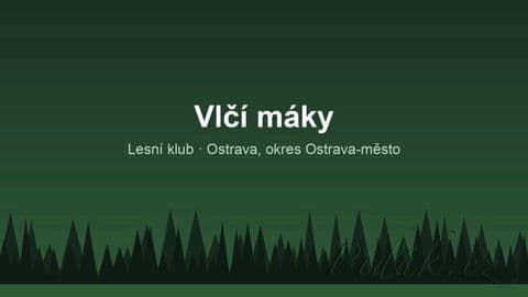 Vlčí máky