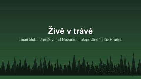 Živě v trávě