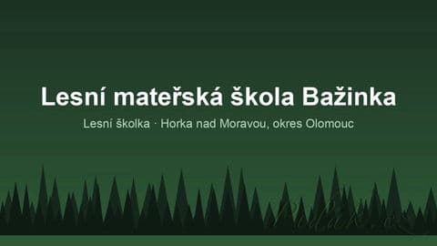 Lesní mateřská škola Bažinka
