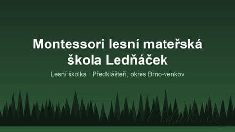 Montessori lesní mateřská škola Ledňáček