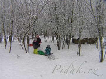 Lesní mateřská škola V Závětří