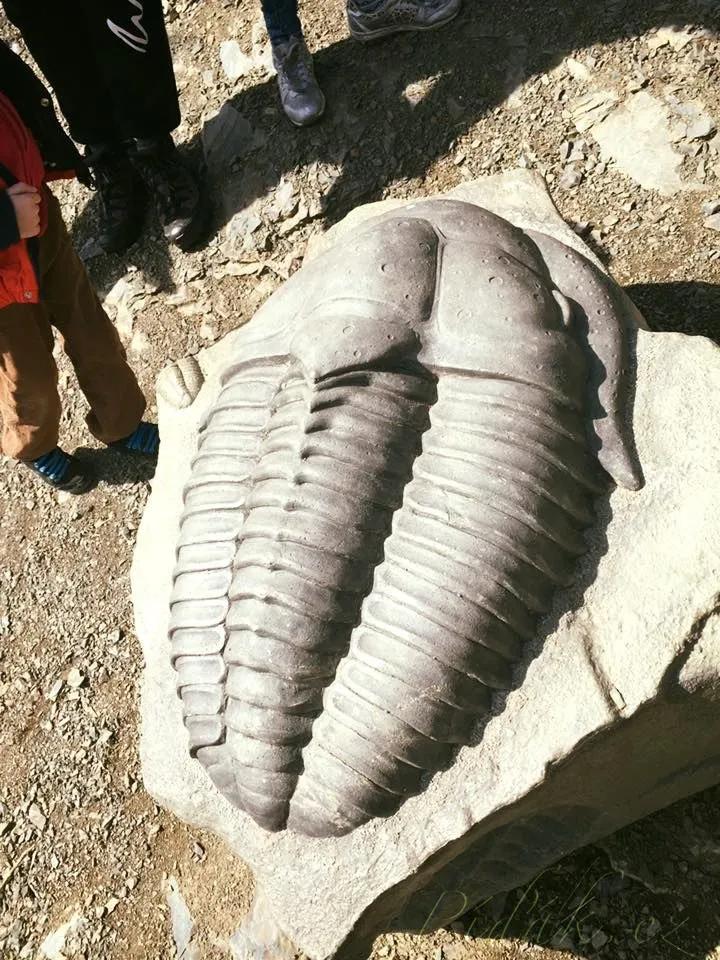 1. obrázek Výlet naučnou stezkou po stopách trilobita na Hrad Týřov 